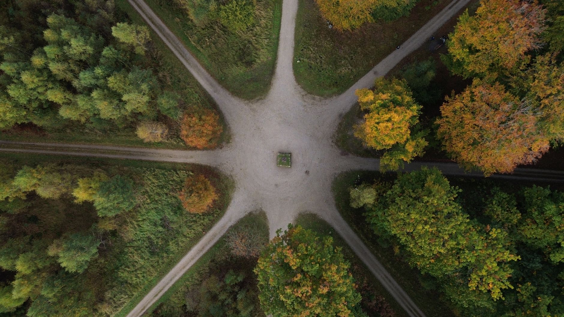 An aerial view of a forest path splitting into two directions, representing a career crossroads
